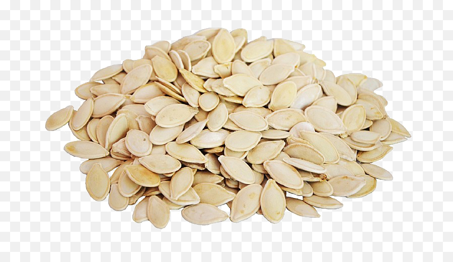 Pumpkin Seeds Png All - Pumpkin Seeds Transparent Png,Seed Png