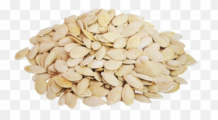 Pumpkin Seeds Png All - Pumpkin Seeds Transparent Png,Seed Png