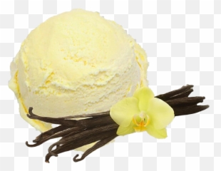 Vanilla Custard Png Pic All - Vanilla Png,Vanilla Png
