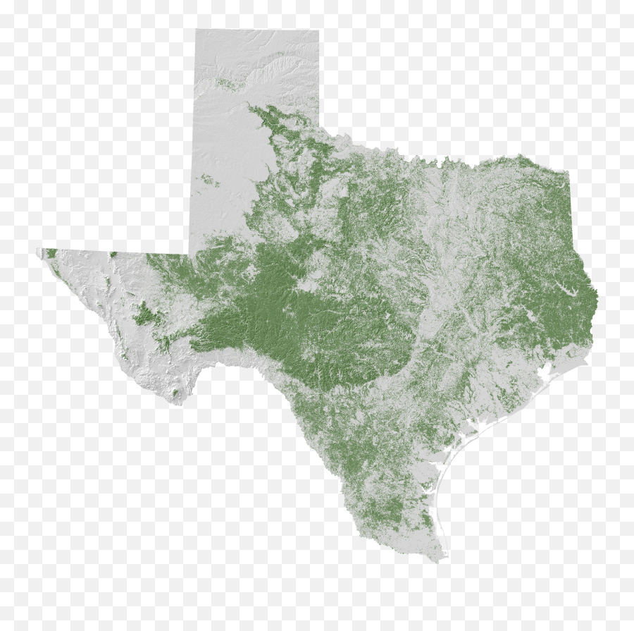 Learn And Explore December 2017 Tfs Png Texas Map