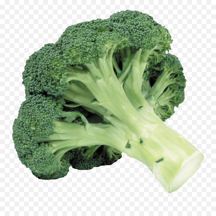 Broccoli Png - Broccoli Transparent Background,Brocolli Png