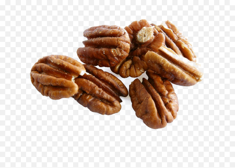 Nut Transparent - American Walnuts Png,Nut Png