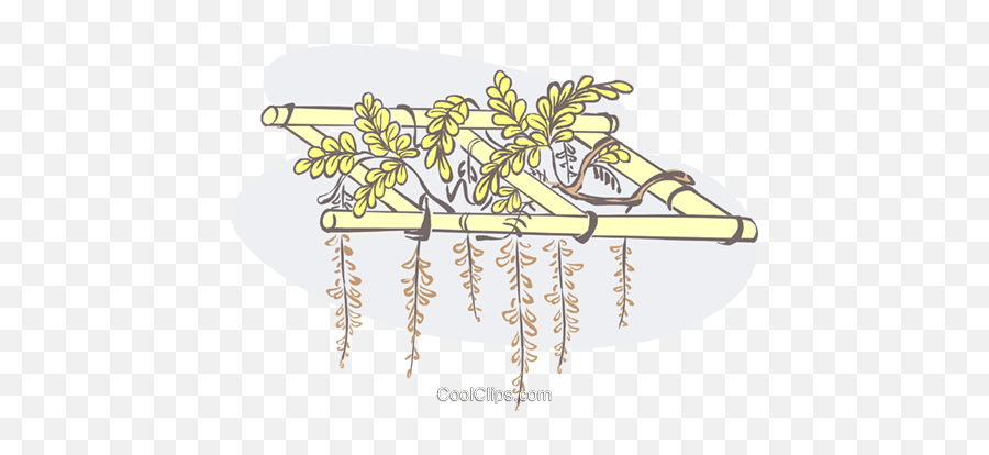 Download Hd Hanging Plants Royalty Free Vector Clip Art - Illustration Png,Hanging Plants Png