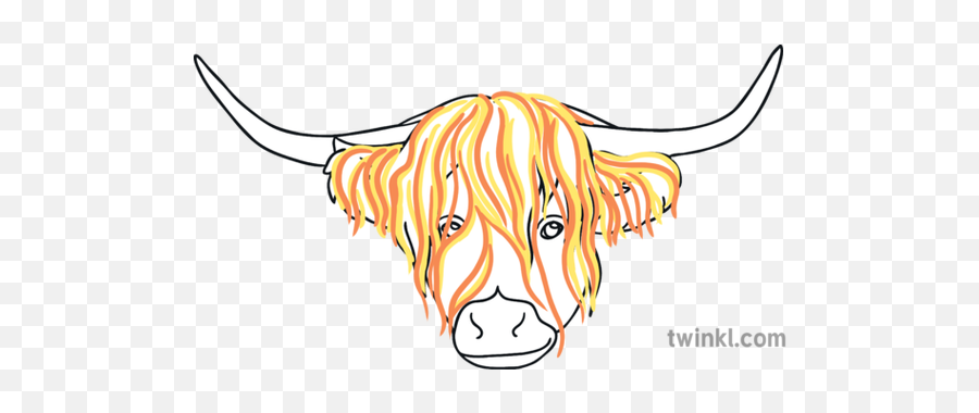 Step 3 Highland Cow Head Steven Brown Ks1 Illustration - Twinkl Clip Art Png,Cow Head Png