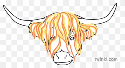 Step 3 Highland Cow Head Steven Brown Ks1 Illustration - Twinkl Clip Art Png,Cow Head Png