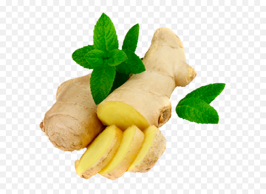 Ginger Png Image For Free Download - Ginger Png,Ginger Png