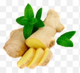 Ginger Png Image For Free Download - Ginger Png,Ginger Png