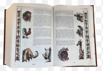 The Illustrated Jerusalem Family Bible Hebrew - English Illustrated Jerusalem Family Bible Hebrew English Png,Bible Transparent