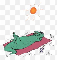 Alligator Sunbathe Sun Bathing Transparent Png Images U2013 Free - Clip Art,Alligator Transparent