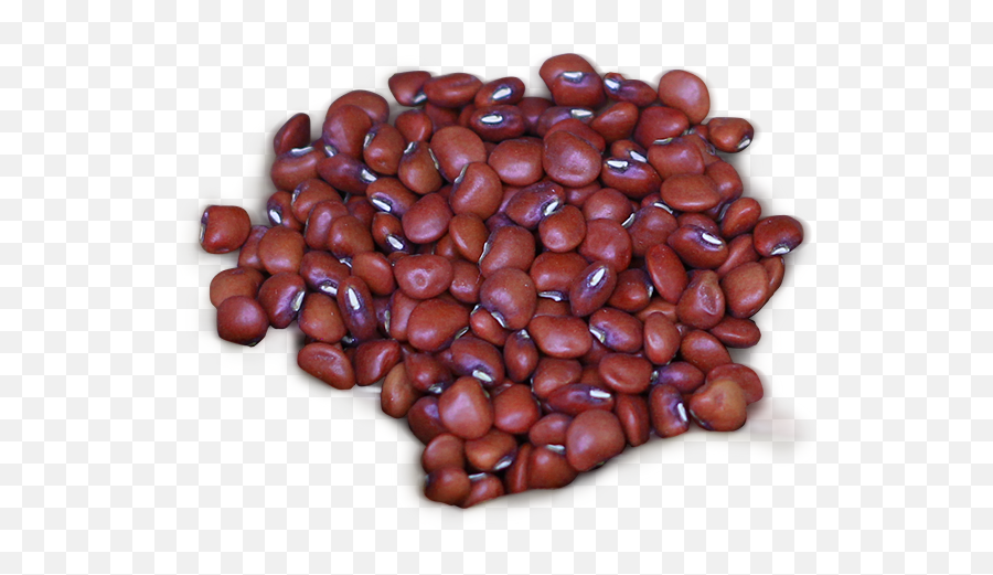 Png Background Beans Transparent