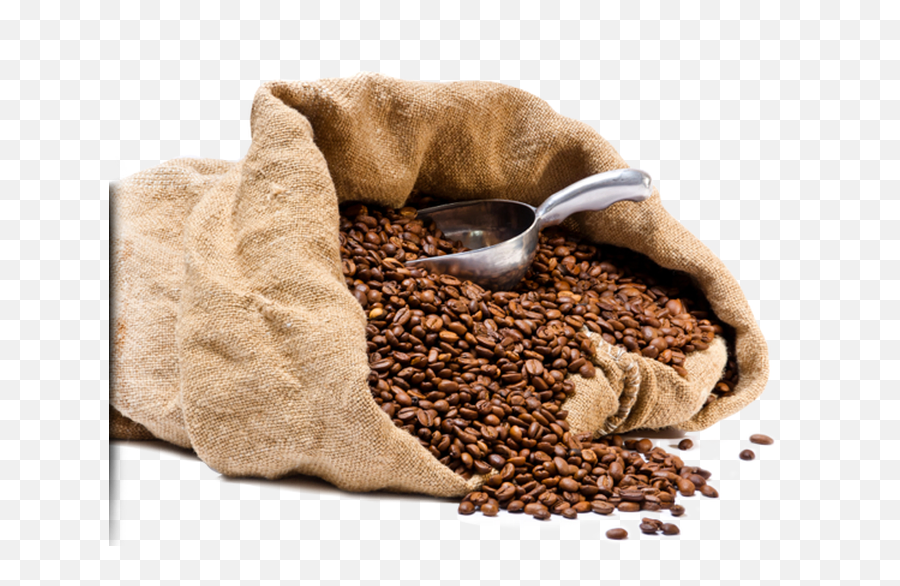 Coffee Beans Png Picture Web Icons - Five Pawns Black Flag Risen,Beans Png