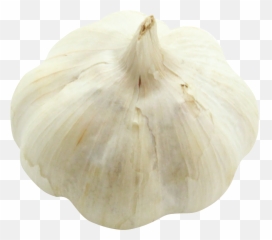 Download Garlic Png Image For Free - Elephant Garlic,Garlic Png