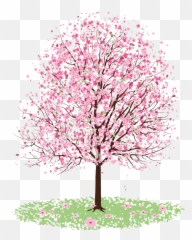 Flower Overlay Png - Cherry Blossom Clipart Transparent Draw A Tree With Flowers