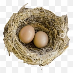 Nest Png - Nest Png,Nest Png