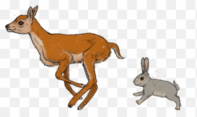 Jewels Collections Cameo Italiano - Domestic Rabbit png