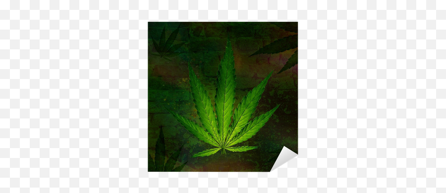 Cannabis Leaf Marijuana Plant Sticker U2022 Pixers - We Live To Change Poster Png,Marijuana Plant Png