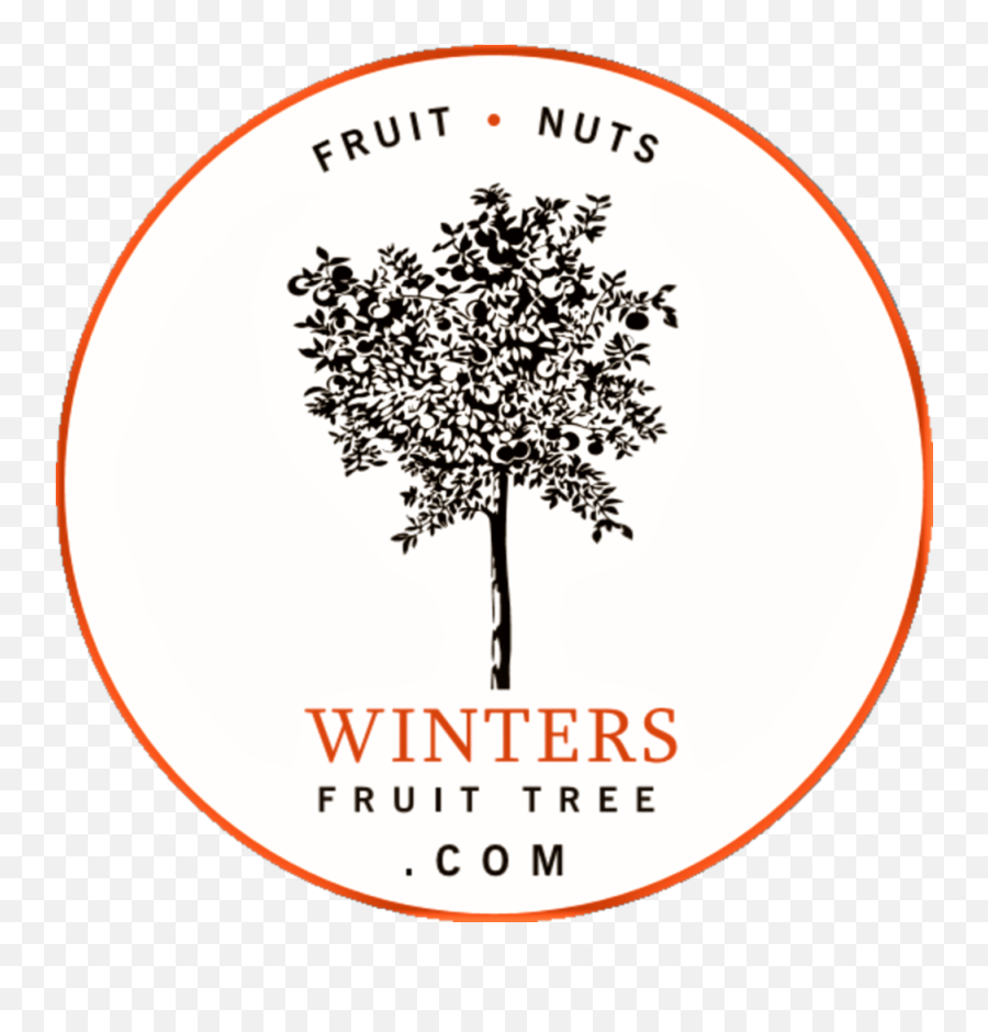 Our History U2014 Winters Fruit Tree Png