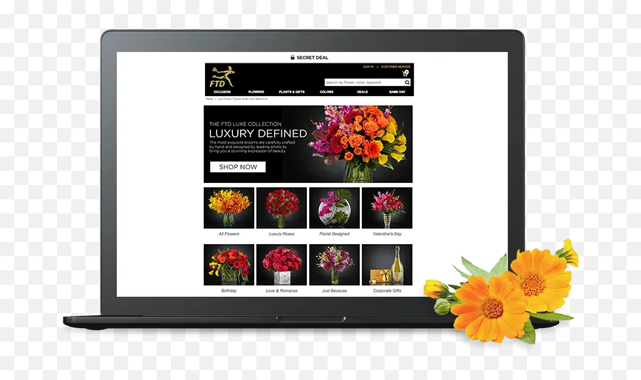 How To Start A Flower Shop Online Best Examples - Lcd Png,Ftd Flowers Icon