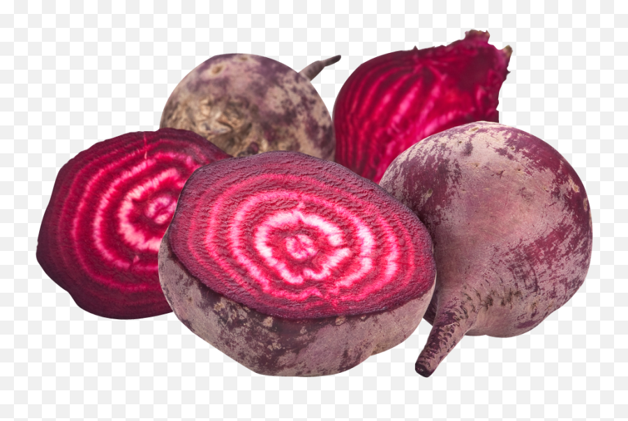 Beet Icon Png 25103 - Web Icons Png Beatroot Png,Beet Icon