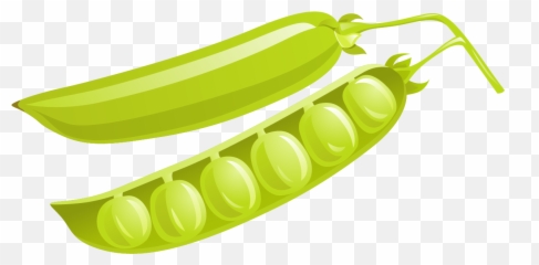 Free Png Peas - Konfest,Peas Png