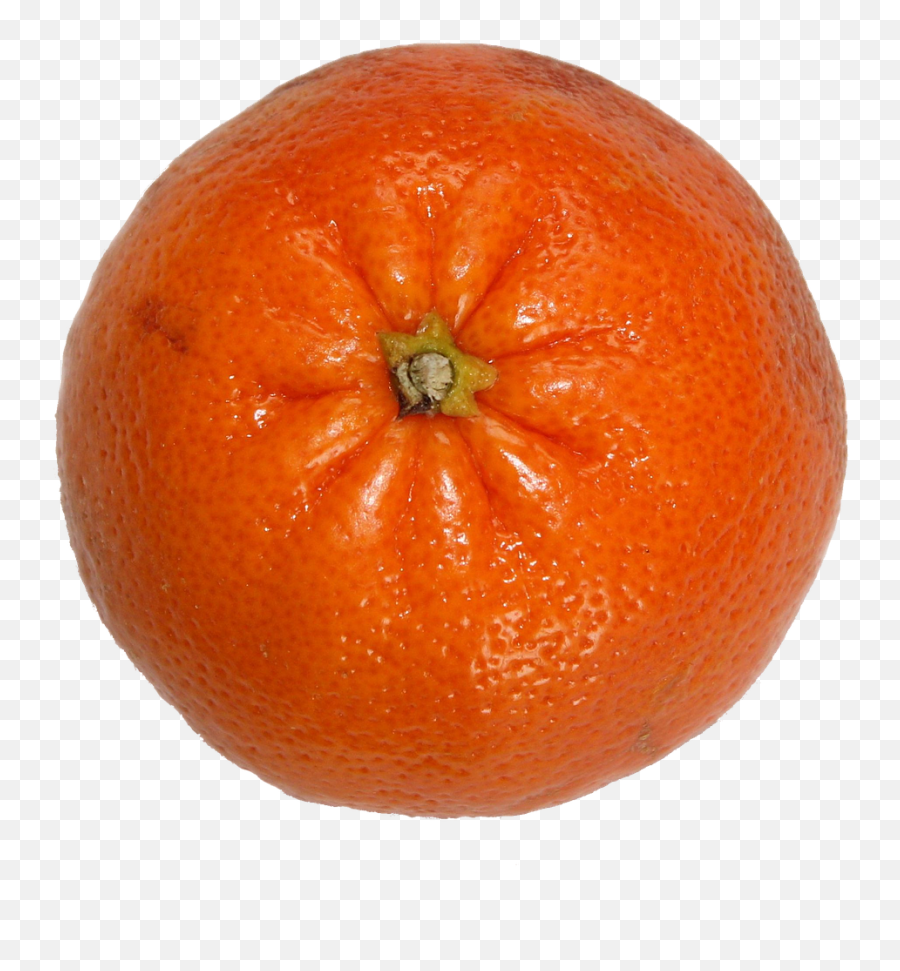 Fruitvitamin Ccitrustangerinepng - Free Image From Tangerine Transparent,Orange Fruit Png
