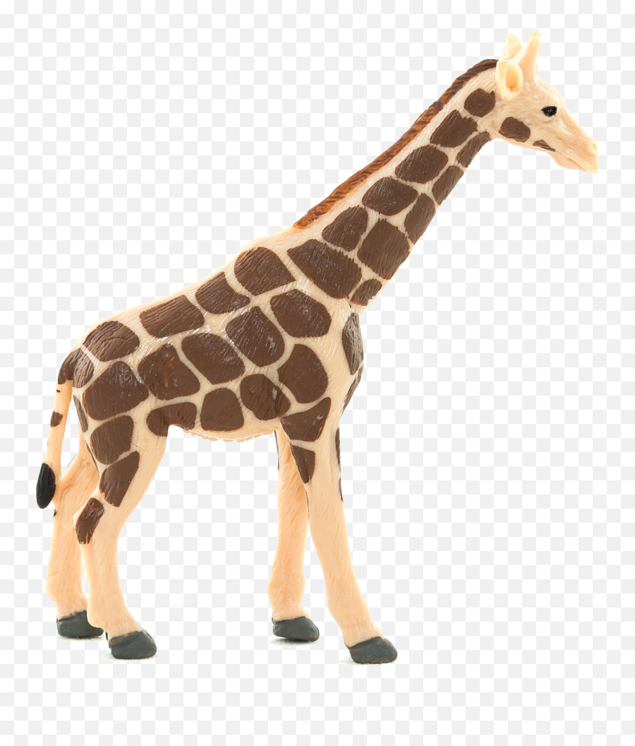 Giraffe Png Transparent Victor Image 3 - Free Transparent Northern Giraffe,Giraffe Transparent Background