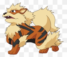 Arcanine Transparent Growlithe Pokemon - Arcanine Transparent Png,Growlithe Png