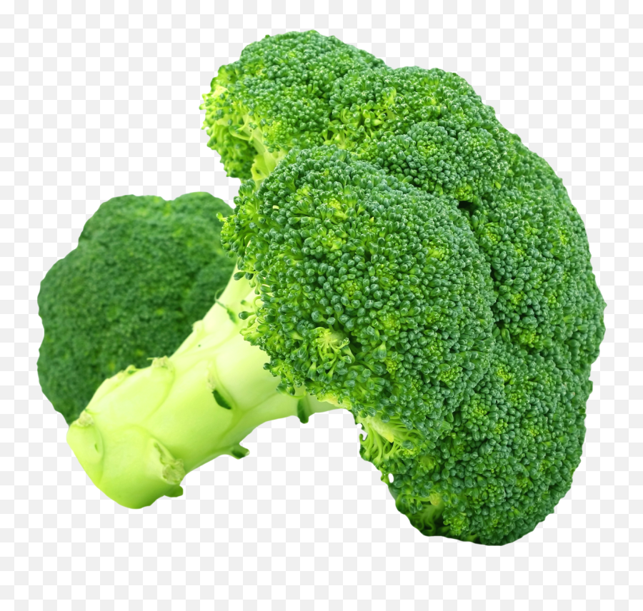 Broccoli Png - Png,Broccoli Transparent