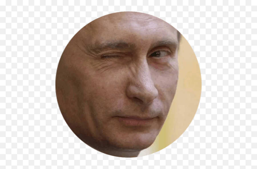 Vladimir Putin Png - Putin Doppelganger,Putin Face Png