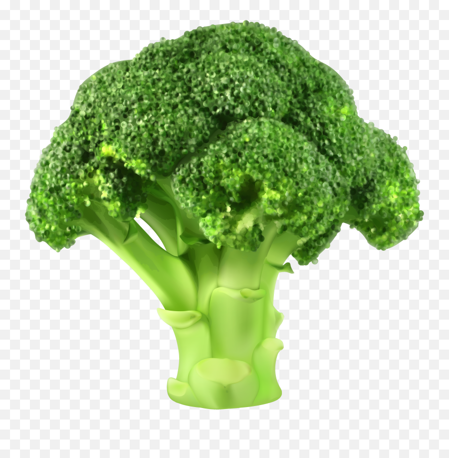 Broccoli Transparent Png Clipart Free - Broccoli Illustration,Brocolli Png