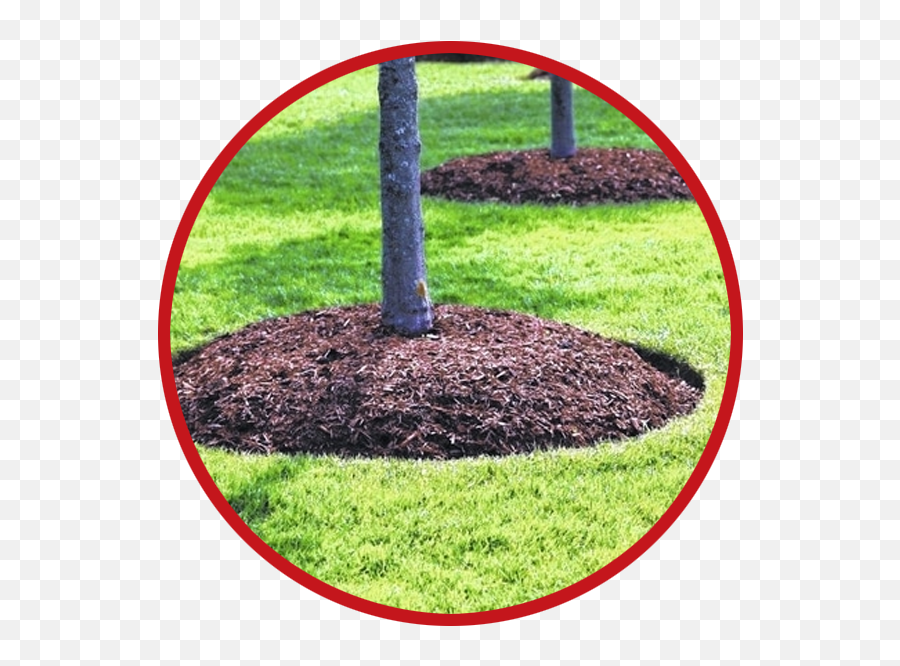 1 Lawn Mulching Pros Outback Service Get A Free - Mulch Around Trees Png,Mulch Png