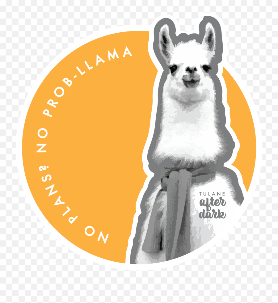 Movie Night Oscar Week Coco Tulane University - Funny Llama Png,Coco Movie Png