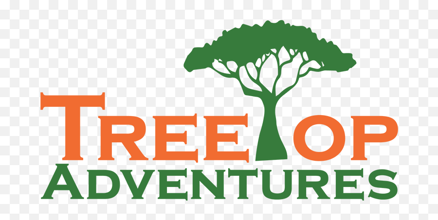 Treetop Adventures Canton Gifting Ideas U2014 - Tree Top Logo Png,Tree Top Png