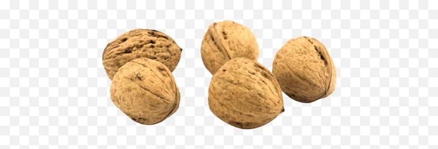 Walnut Png Image - 2 Nuts Png,Walnuts Png