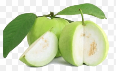 Guava Transparent Png Image - Amrud Fruit,Guava Png