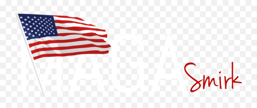 American Flag Transparent Background - Real American Flag Png,American Flag Transparent Background
