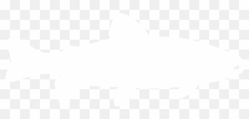 Trout - Pangasius Hypophthalmus Png,Trout Png