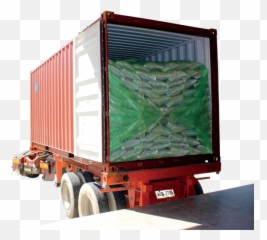 Transporte De Cafe Pergamino - Transafe Liner Png,Pergamino Png