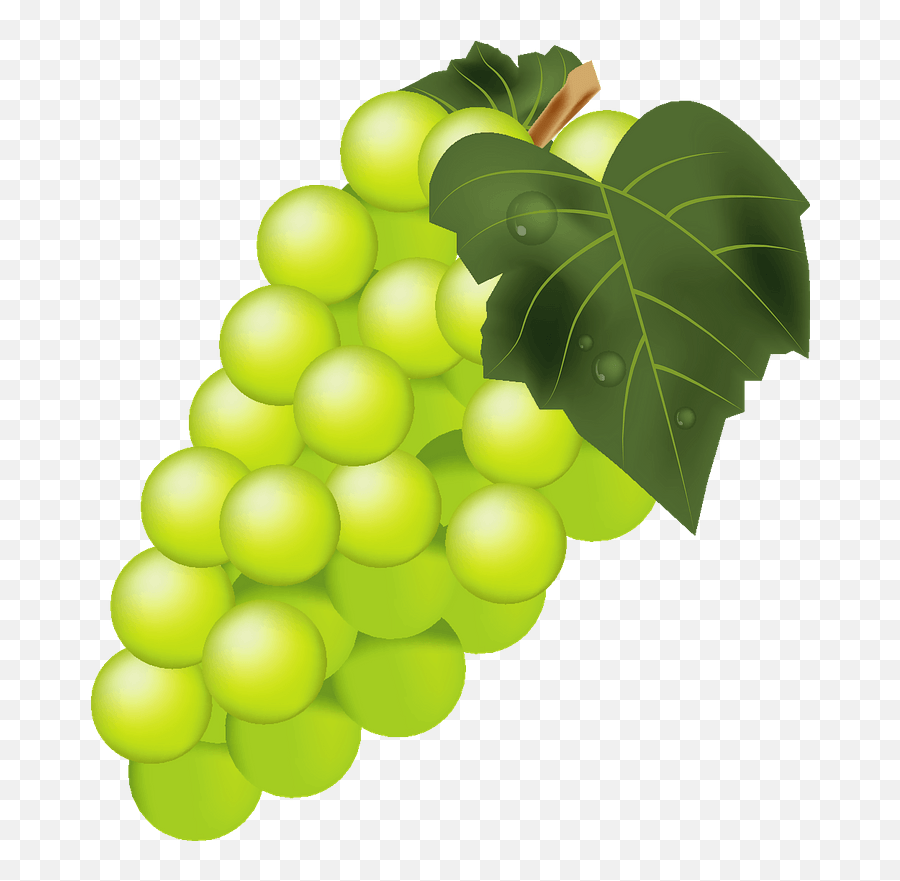 Bunch Of Green Grape Clipart Free Download Transparent Png - Clipart Image Of Grapes,Grapes Transparent