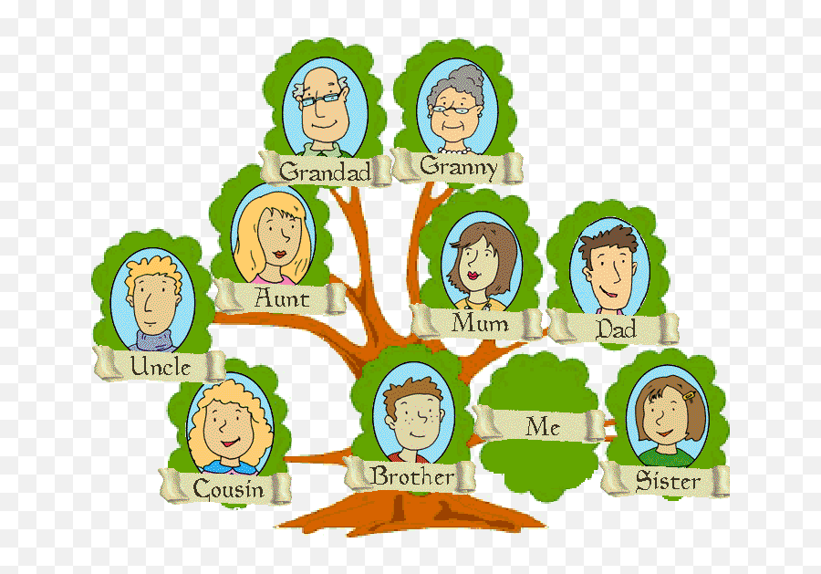 People Clipart Family Tree Transparent - Family Tree Png,Family Tree Png