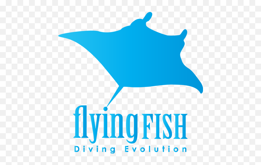 Flying Fish Diving - Crawfish Boil Invitations Png,Flying Fish Logo
