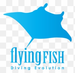 Flying Fish Diving - Crawfish Boil Invitations Png,Flying Fish Logo
