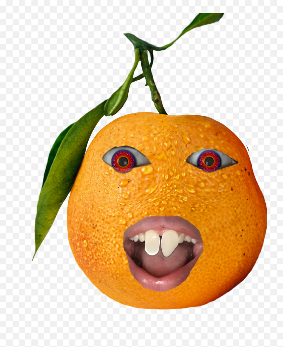 Annoyingorange Annoying Sticker - Clementine Png,Annoying Orange Transparent