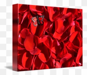 Red Rose Petals And Butterfly By Anna V - Rose Png,Rose Petals Transparent