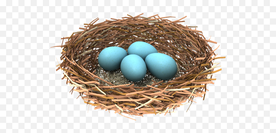 Download Free Png Nest - Bird Nest Transparent Background,Nest Png