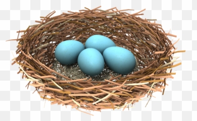Download Free Png Nest - Bird Nest Transparent Background,Nest Png