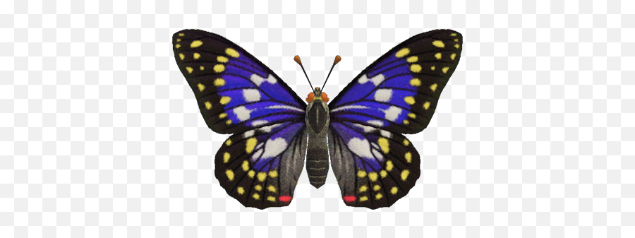 Great Purple Emperor - Animal Crossing Wiki Nookipedia Animal Crossing New Horizons Papillon Png,Monarch Butterfly Icon