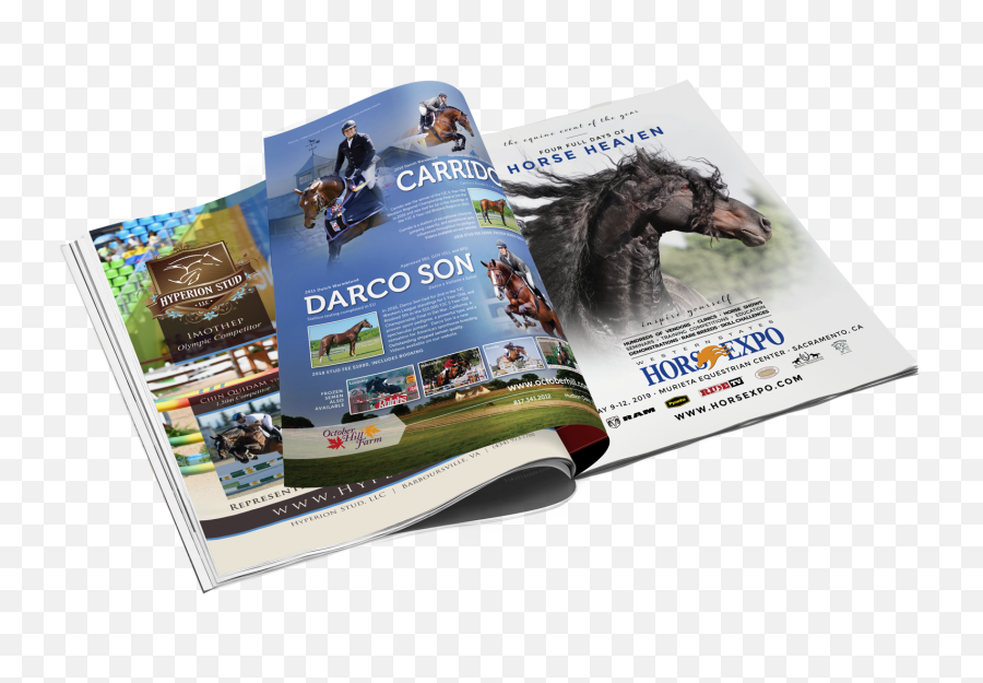 Equiluxe Marketing Equine Website Design And - Stallion Png,Horse Logos