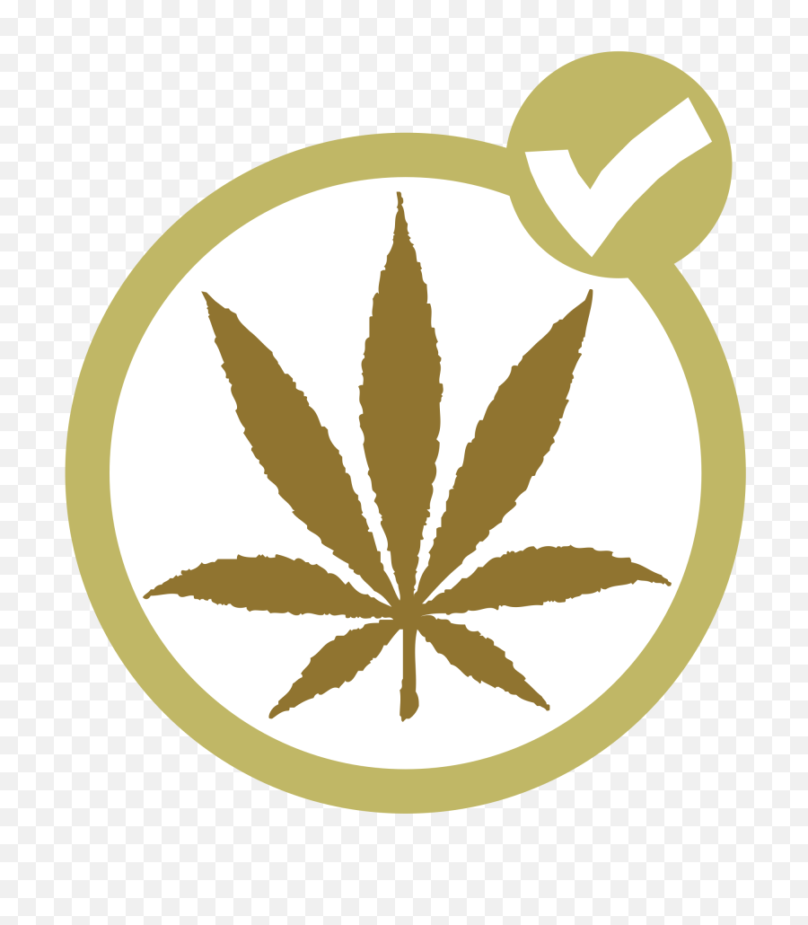 Marijuana Party Canada - Wikipedia Marijuana Party Of Canada Png,Pot Leaf Transparent Background
