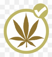 Marijuana Party Canada - Wikipedia Of png